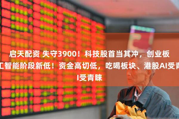 启天配资 失守3900！科技股首当其冲，创业板人工智能阶段新低！资金高切低，吃喝板块、港股AI受青睐